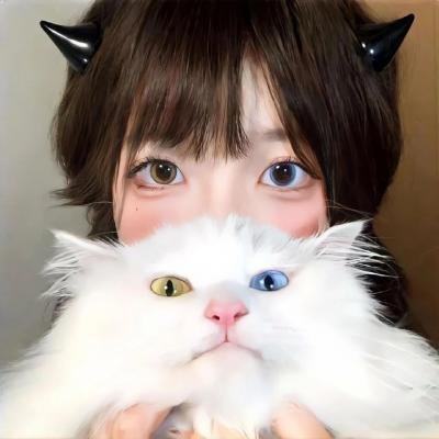 萌宝救母闯京都